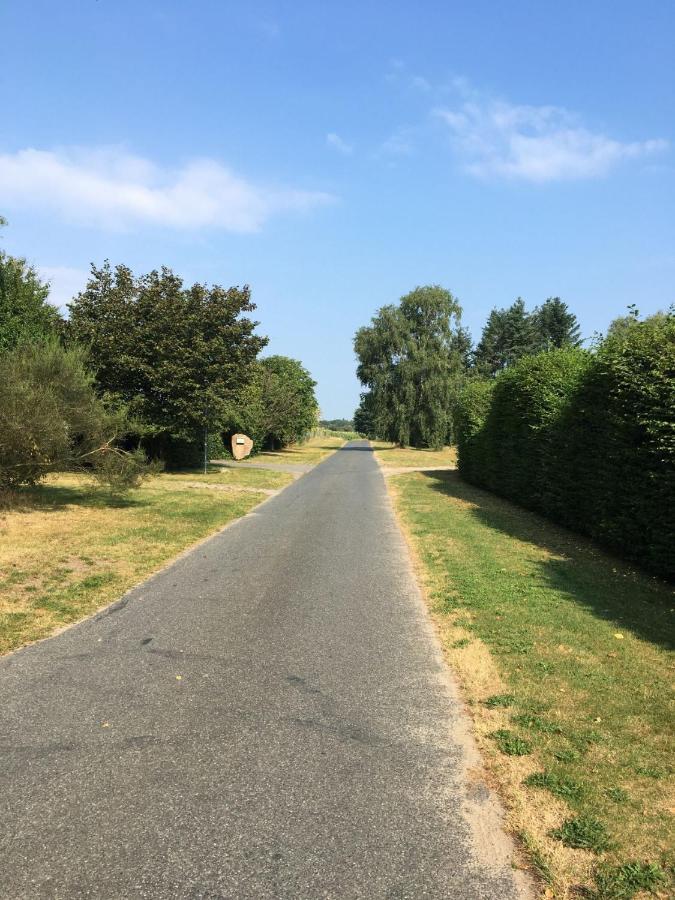 Ferienhof Timmerloher Heide โซลเทา ภายนอก รูปภาพ