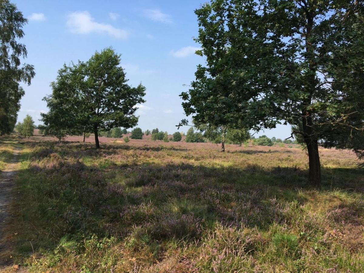 Ferienhof Timmerloher Heide โซลเทา ภายนอก รูปภาพ