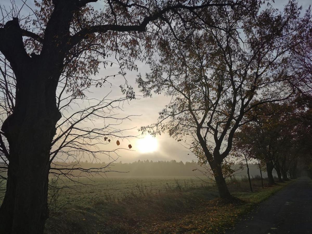 Ferienhof Timmerloher Heide โซลเทา ภายนอก รูปภาพ