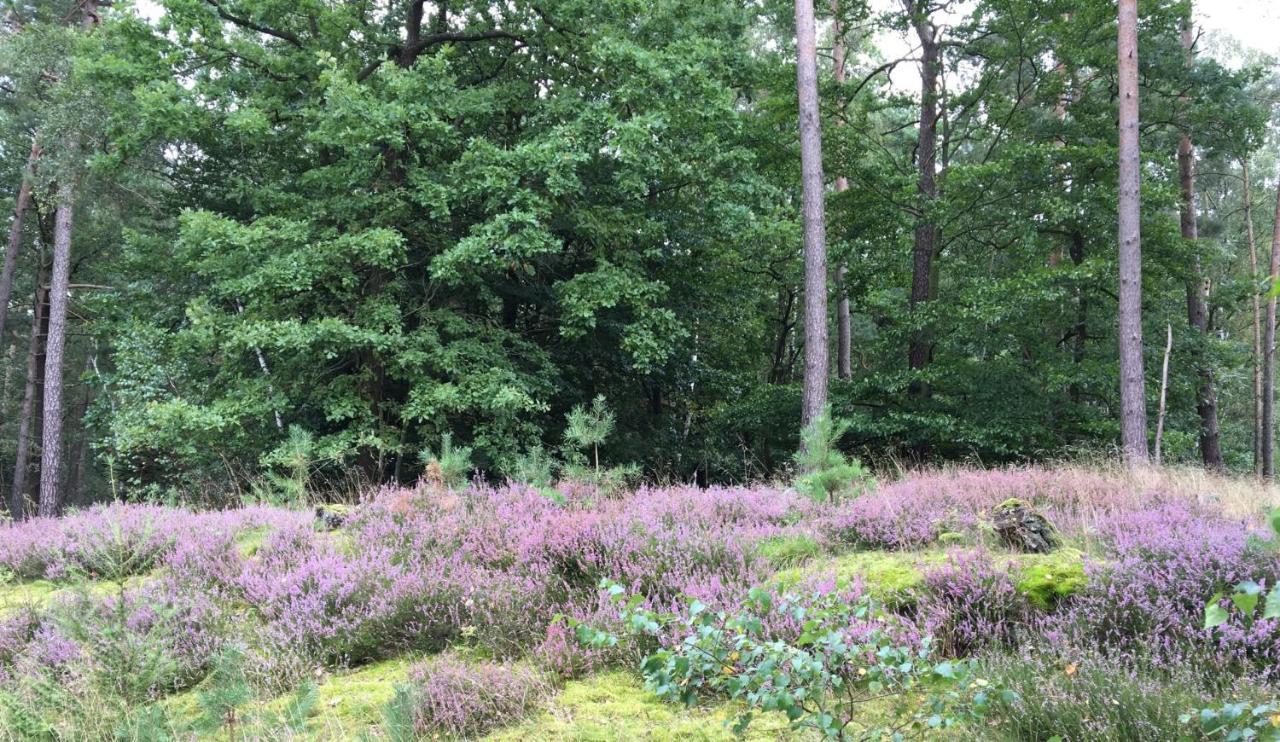 Ferienhof Timmerloher Heide โซลเทา ภายนอก รูปภาพ